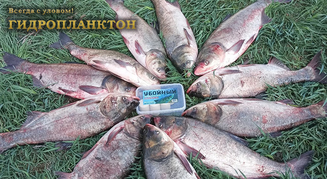 gidroplankton-banner-640.jpg