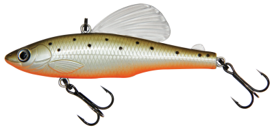 bigfin-573_400_auto_png.png