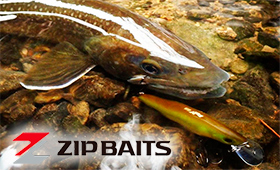 zipbaits-logo-280-2.jpg