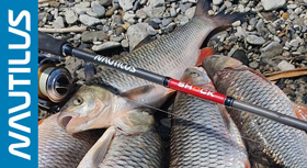 banner-280.jpg