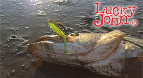 lucky-john-280.jpg
