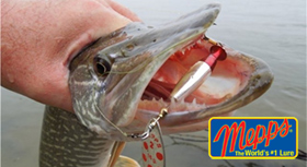 banner-280.jpg