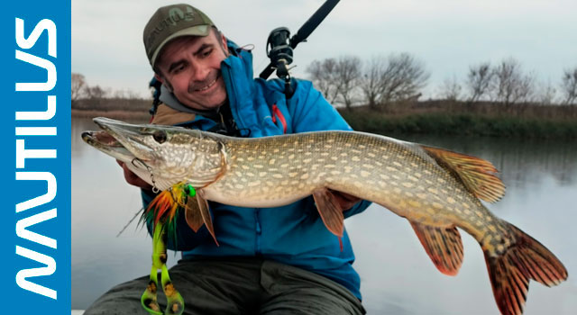 nautilus-monster-pike-640x350.jpg