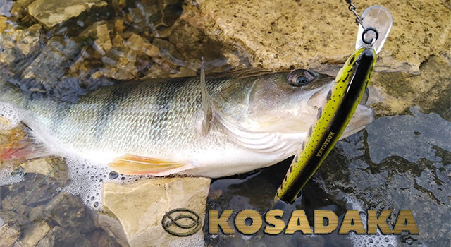 kosadaka-640.jpg