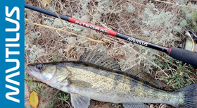 banner-280jpg.jpg
