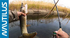 banner-280.jpg banner-280.jpg