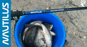 feeder-banner-280.jpg