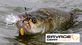 savage-gear-blesni-280.jpg