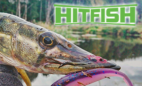 hitfish-logo-280.jpg