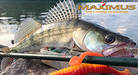 maximus-zander-280.jpg