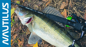 banner-280.jpg