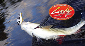 banner-lc1-280.jpg