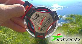 intech-banner-280jpg.jpg
