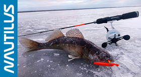 banner-winter-280.jpg