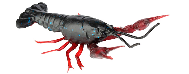 3d-crayfish-640.jpg