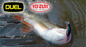 yo-zuri-banner-280.jpg