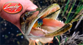 banner-280-2.jpg banner-280-2.jpg