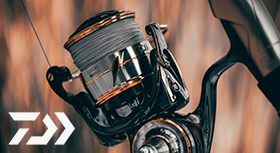 daiwa-lt-280.jpg