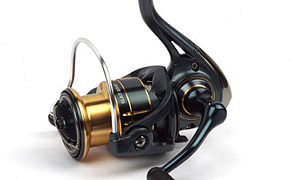  Nautilus Slait 3000 -  -    - 