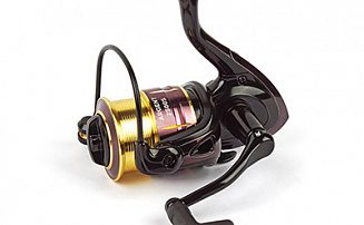  Nautilus Argent 2500S -  -    - 