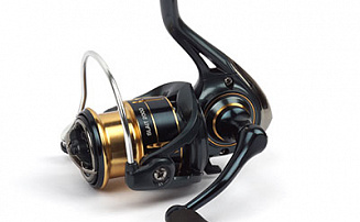  Nautilus Slait 2000 -  -    - 