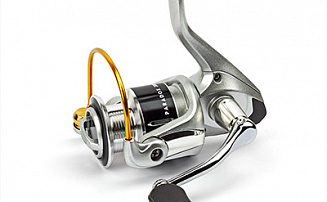  Nautilus Paradox 2000 -  -    - 