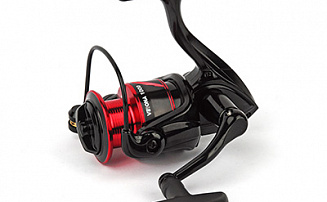  Nautilus Verona 1000 -  -    - 