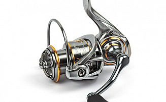  Nautilus Lux 2500 -  -    - 