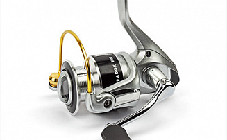  Nautilus Paradox 4000 -  -    - 