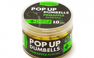    Dumbells+Dips  .  10 60 () -  -    - 