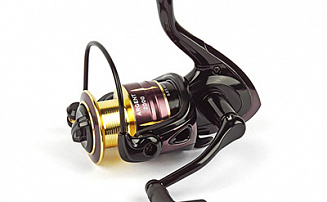  Nautilus Argent 2000 -  -    - 