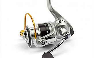  Nautilus Paradox 2500 -  -    - 