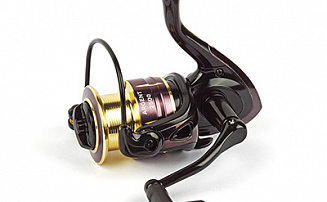  Nautilus Argent 2500* -  -    - 