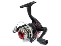 Cardinal 50 -  -    