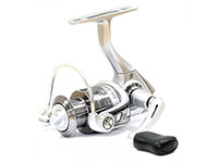 Cardinal S -  -    