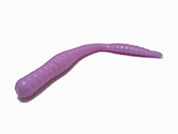 Fat Worm -  -    