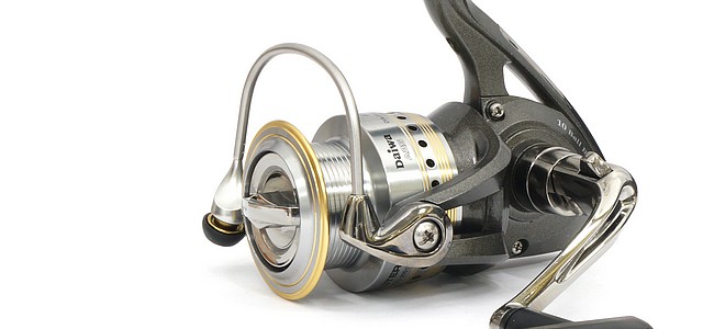 Procaster X -  -    