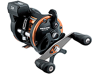 Sealine -  -    