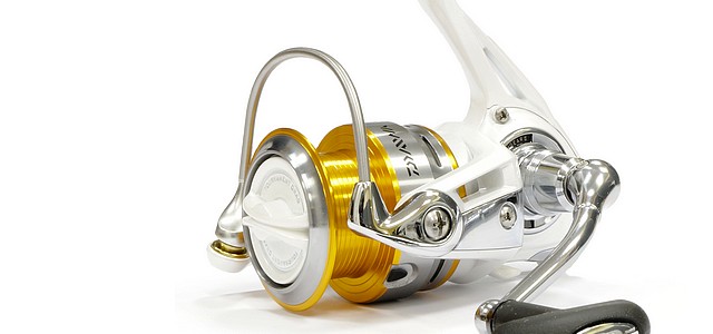 Exceler Z -  -    