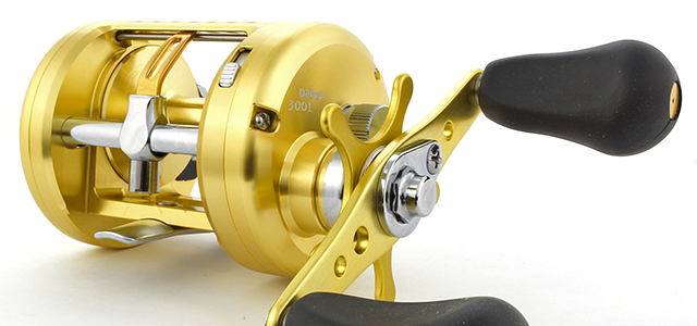 Team Daiwa Luna -  -    