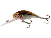 3D Goby Crank SR -  -    