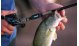    Cyberfishing Smart Rod Sensor -  -     - thumb 3