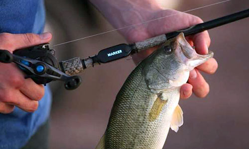    Cyberfishing Smart Rod Sensor -  -    3