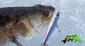 strike-pro-winter-280.jpg strike-pro-winter-280.jpg
