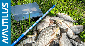 sou-pole-banner-280.jpg sou-pole-banner-280.jpg