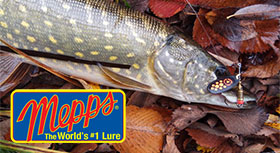 mepps-banner1-280.jpg