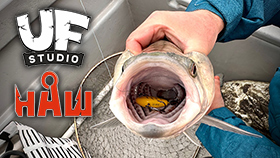 banner-280.jpg banner-280.jpg