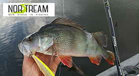 norstream-rods-280.jpg norstream-rods-280.jpg